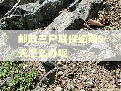 邮政三户联保逾期9天怎么办呢