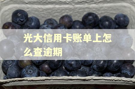 光大信用卡账单上怎么查逾期