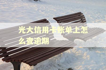 光大信用卡账单上怎么查逾期 光大信用卡账单上怎么查逾期
