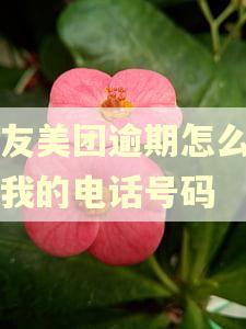 朋友美团逾期怎么会有我的电话号码
