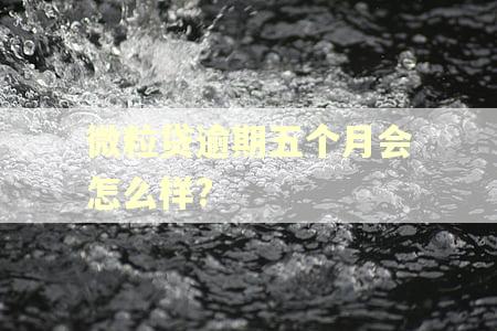 微粒贷逾期五个月会怎么样?