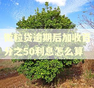 微粒贷逾期后加收百分之50利息怎么算