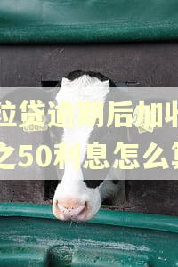 微粒贷逾期后加收百分之50利息怎么算