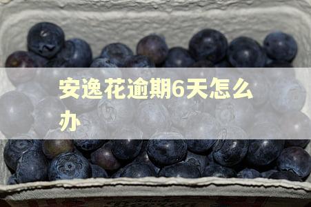 安逸花逾期6天怎么办