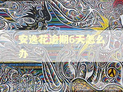 安逸花逾期6天怎么办