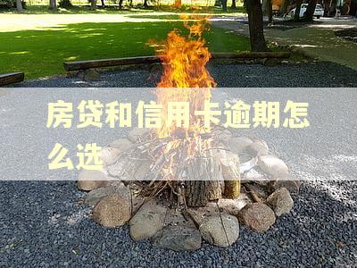 房贷和信用卡逾期怎么选