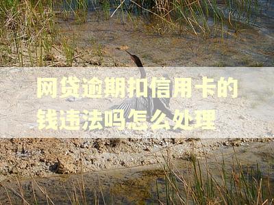 网贷逾期扣信用卡的钱违法吗怎么处理