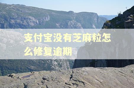 支付宝没有芝麻粒怎么修复逾期