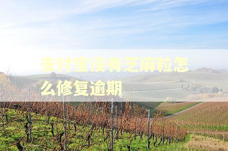 支付宝没有芝麻粒怎么修复逾期