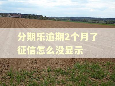 分期乐逾期2个月了征信怎么没显示 分期乐逾期2个月了征信怎么没显示