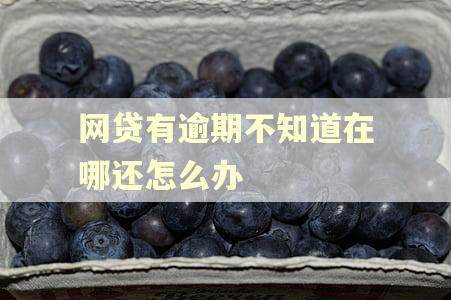 网贷有逾期不知道在哪还怎么办 网贷有逾期不知道在哪还怎么办