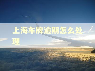 上海车牌逾期怎么处理