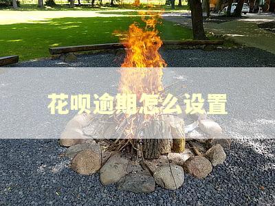 花呗逾期怎么设置