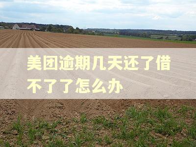 美团逾期几天还了借不了了怎么办