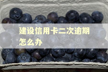建设信用卡二次逾期怎么办