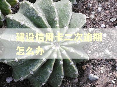建设信用卡二次逾期怎么办
