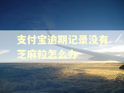 支付宝逾期记录没有芝麻粒怎么办