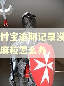 支付宝逾期记录没有芝麻粒怎么办