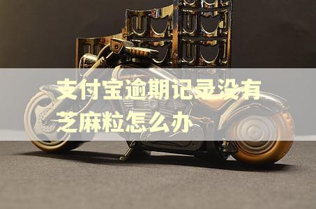 支付宝逾期记录没有芝麻粒怎么办