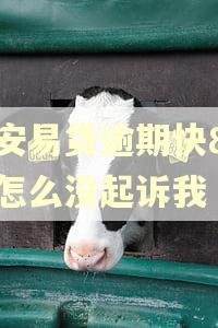 平安易贷逾期快8年了怎么没起诉我