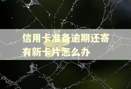 信用卡准备逾期还寄有新卡片怎么办