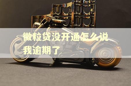 微粒贷没开通怎么说我逾期了