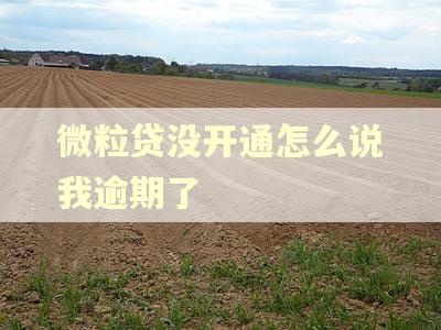 微粒贷没开通怎么说我逾期了 微粒贷没开通怎么说我逾期了