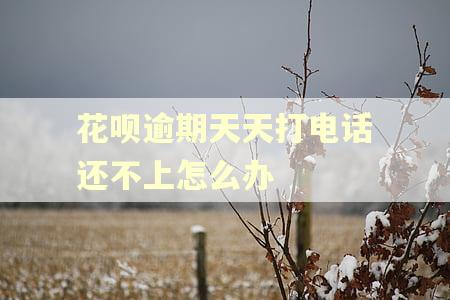 花呗逾期天天打电话还不上怎么办