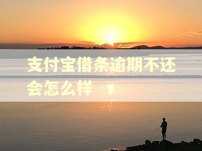 支付宝借条逾期不还会怎么样