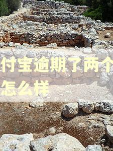 支付宝逾期了两个月会怎么样