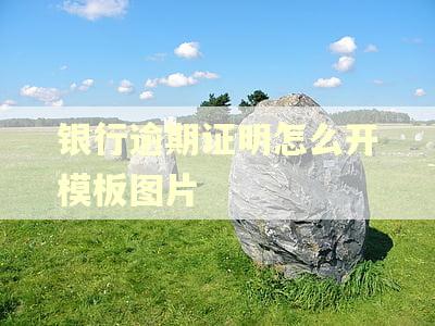 银行逾期证明怎么开模板图片