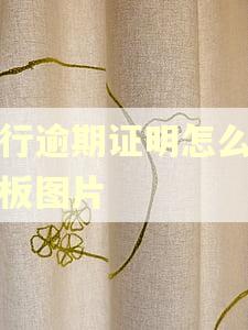 银行逾期证明怎么开模板图片