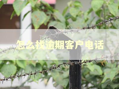 怎么找逾期客户电话