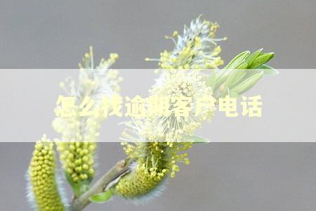 怎么找逾期客户电话 怎么找逾期客户电话