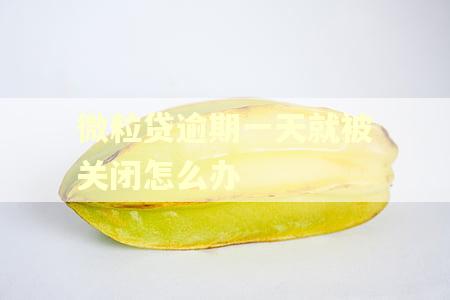 微粒贷逾期一天就被关闭怎么办