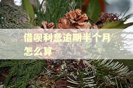 借呗利息逾期半个月怎么算 借呗利息逾期半个月怎么算