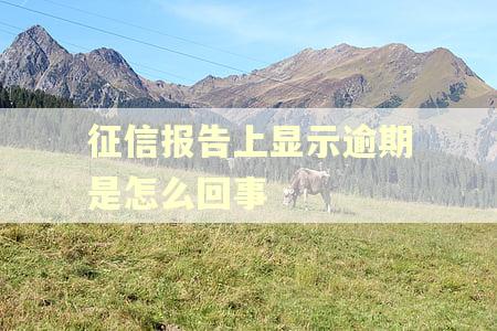 征信报告上显示逾期是怎么回事