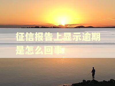 征信报告上显示逾期是怎么回事