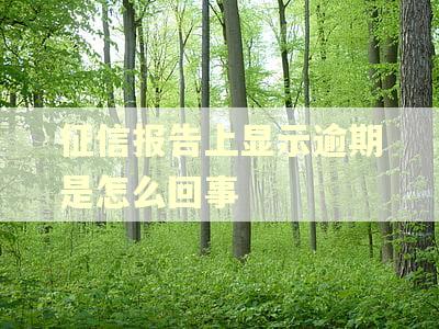 征信报告上显示逾期是怎么回事