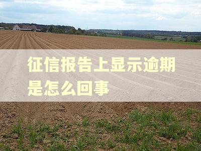征信报告上显示逾期是怎么回事 征信报告上显示逾期是怎么回事