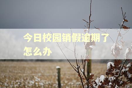 今日校园销假逾期了怎么办