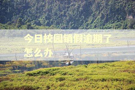 今日校园销假逾期了怎么办