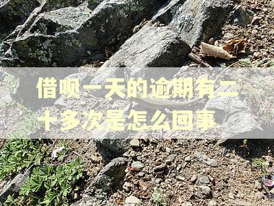 借呗一天的逾期有二十多次是怎么回事