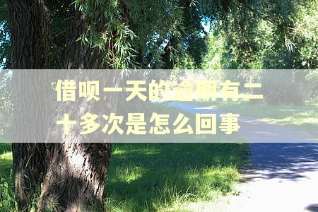 借呗一天的逾期有二十多次是怎么回事