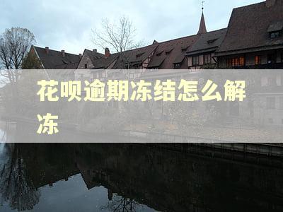 花呗逾期冻结怎么解冻