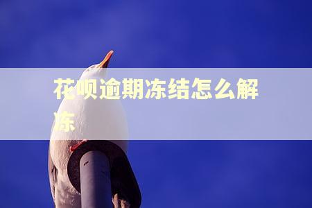 花呗逾期冻结怎么解冻