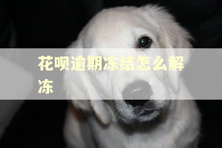 花呗逾期冻结怎么解冻