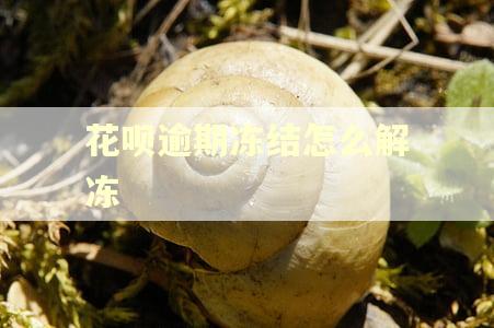 花呗逾期冻结怎么解冻 花呗逾期冻结怎么解冻
