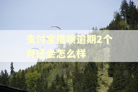 支付宝借呗逾期2个月还会怎么样