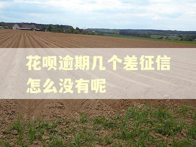 花呗逾期几个差征信怎么没有呢